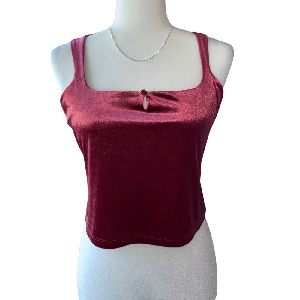 Wild Fable NWT Sizes S,M,L Velvet Crop Top in Shimmering Burgundy Rose Detail